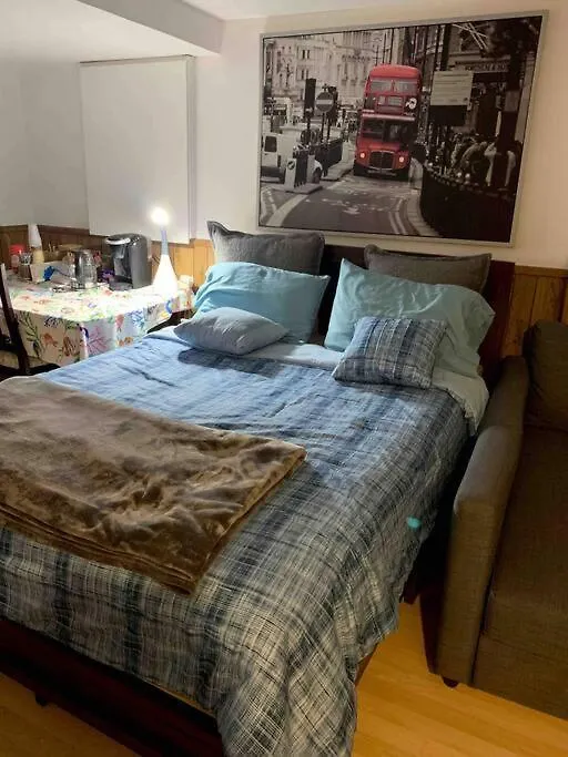 Big Oasis Studio Near Airport Yyz Toronto
